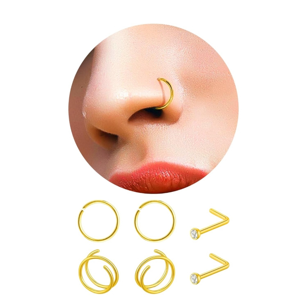 6 Nose Rings